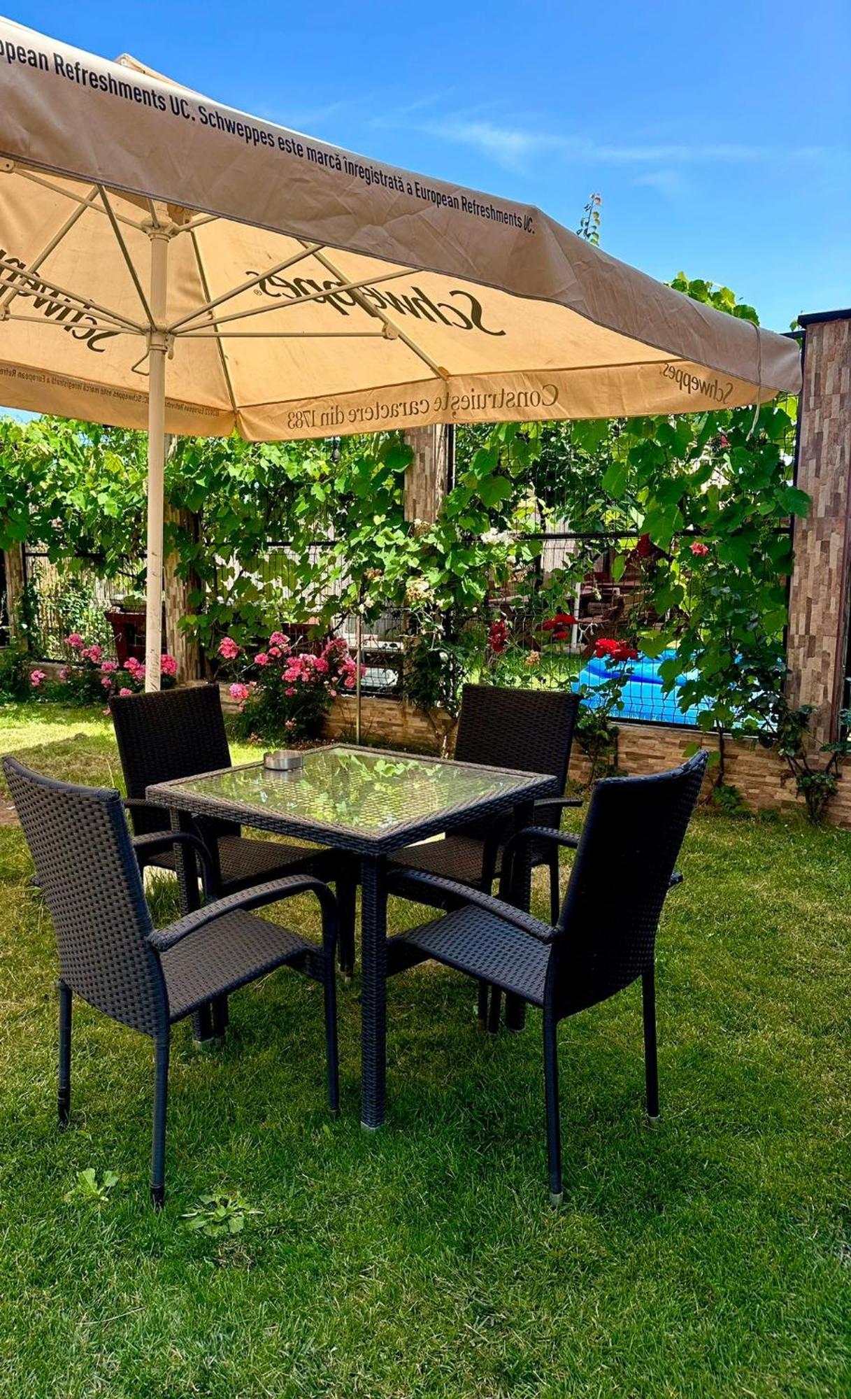 Vila Carmen Vama Veche Extérieur photo