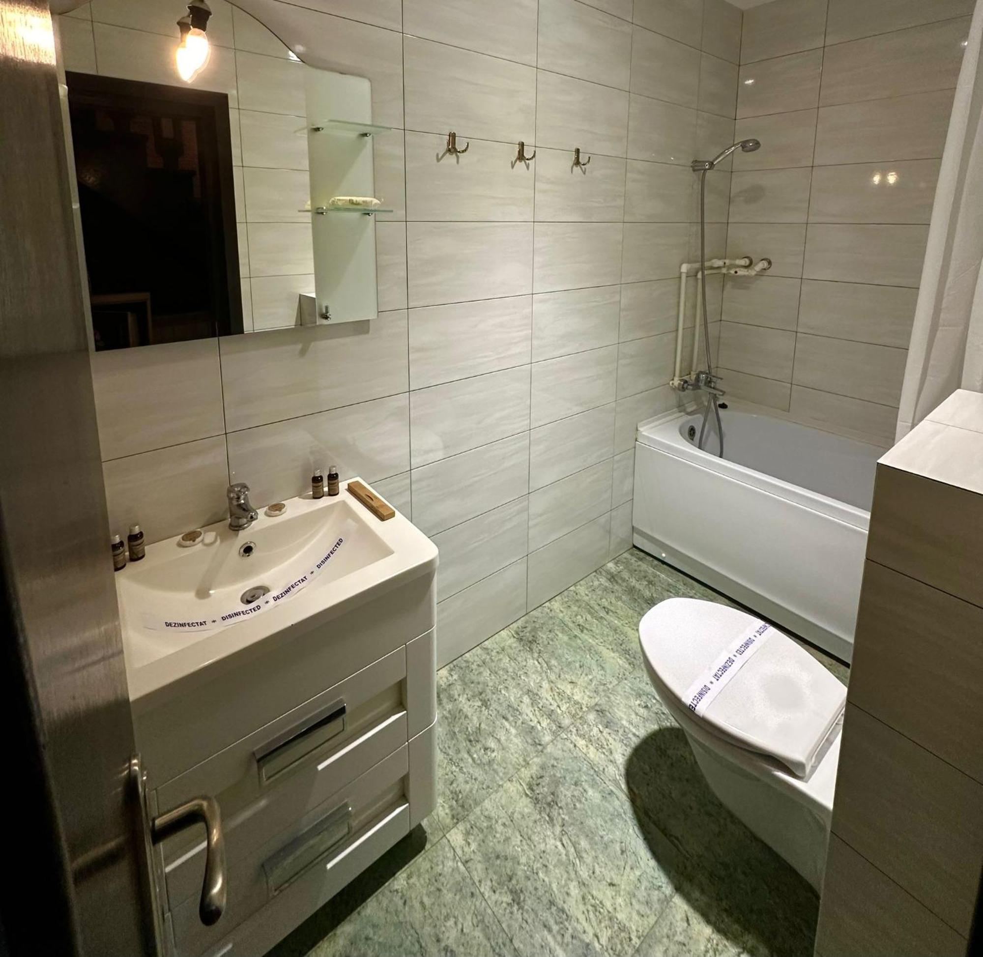 Vila Carmen Vama Veche Extérieur photo